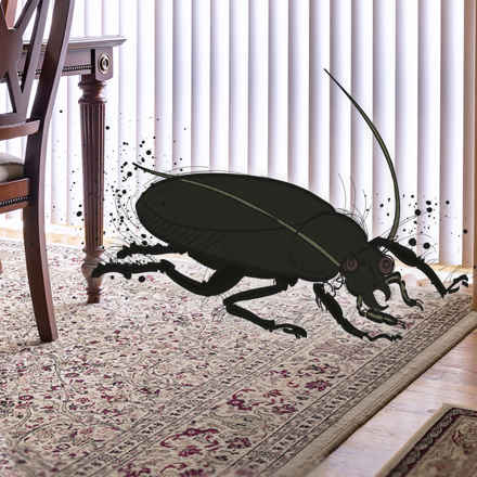 insects to demonstrate someone with Charles bonnet syndrome having hallucinations