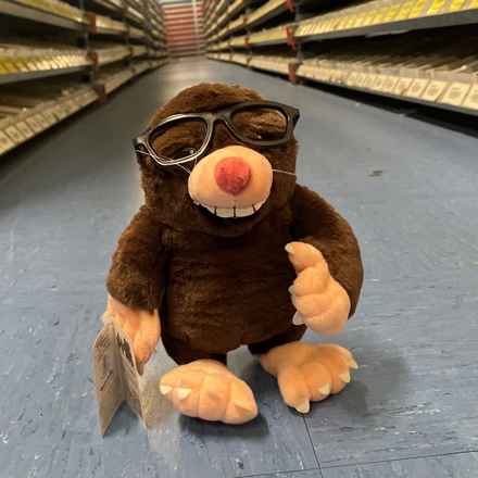 Marvin the Mole, Vision Express