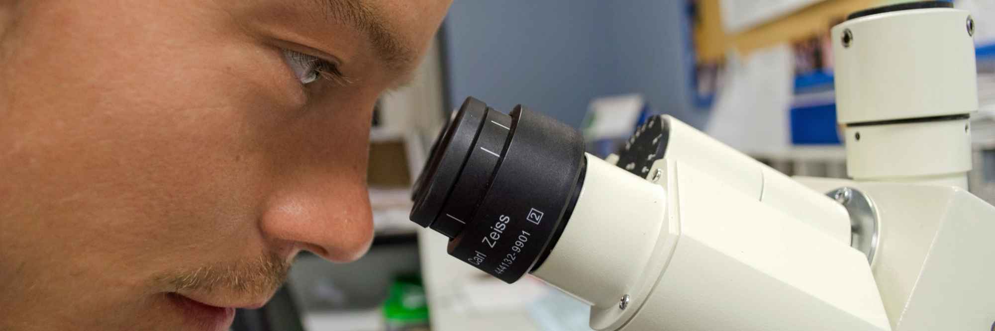 Seedcorn grants primary image