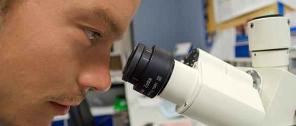 Researcher Looking into microscope