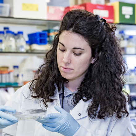Researcher in laboratory with petri dish