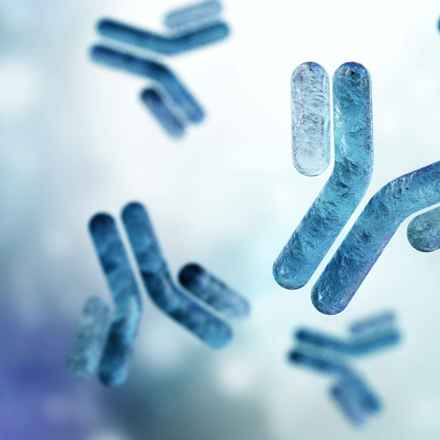 Antibodies close up