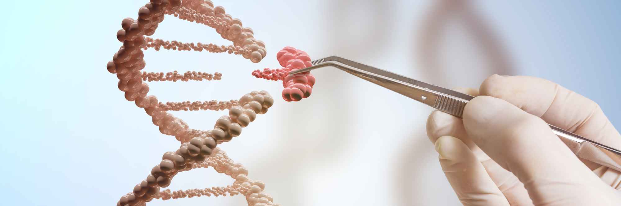 Inflammation, ageing and AMD primary image