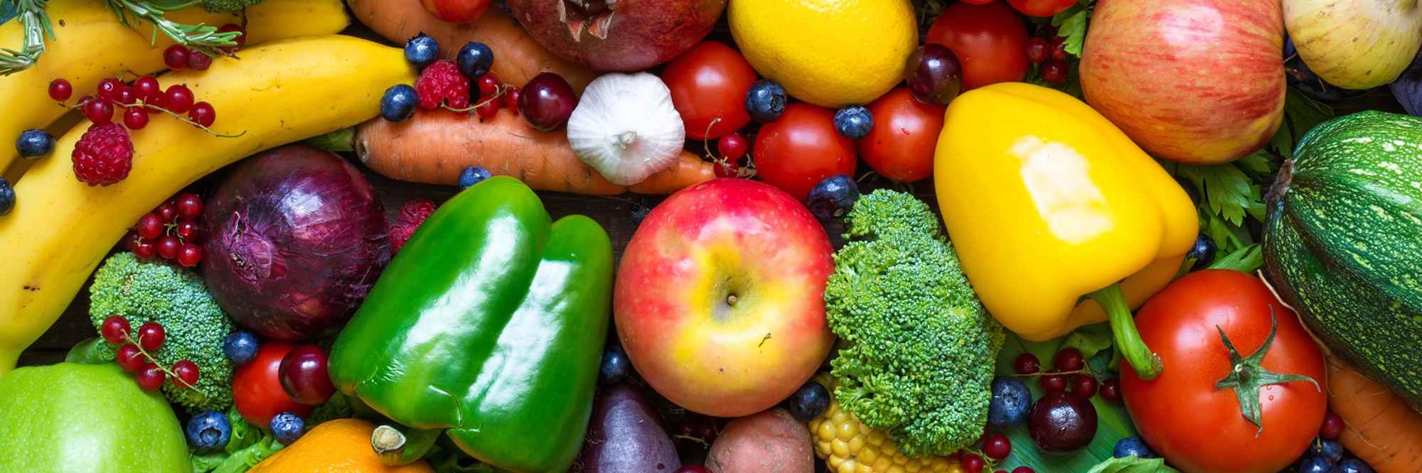 Nutrition primary image