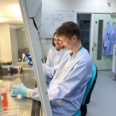 Researchers from Dr Linda Troeberg's project