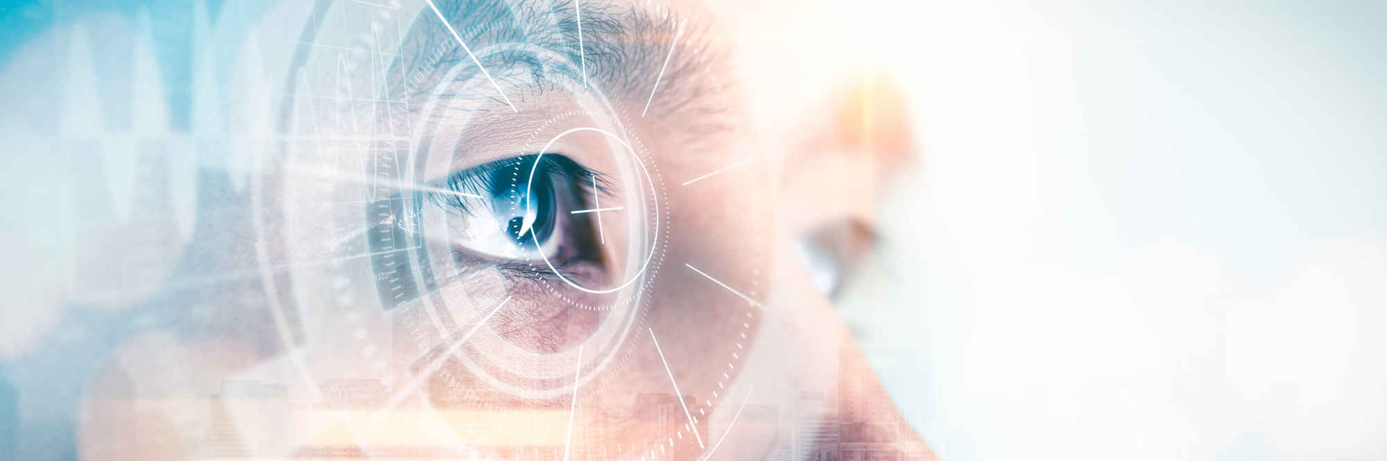 Creating a ‘virtual eye’ with mathematical modelling primary image