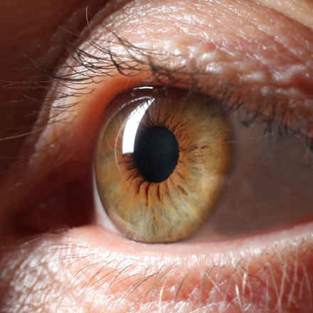 Close up brown eye