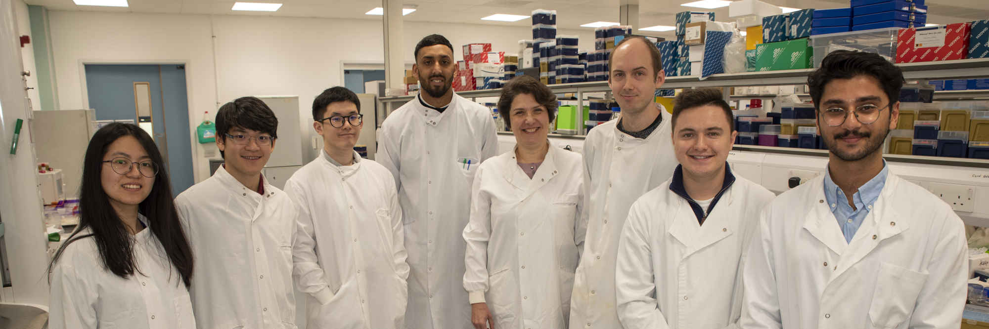 Our research projects primary image