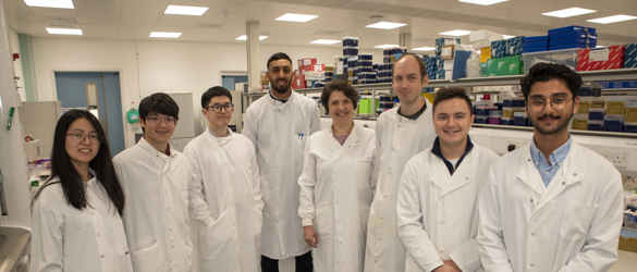 Professor Luminita Paraoan and her team, University of Liverpool